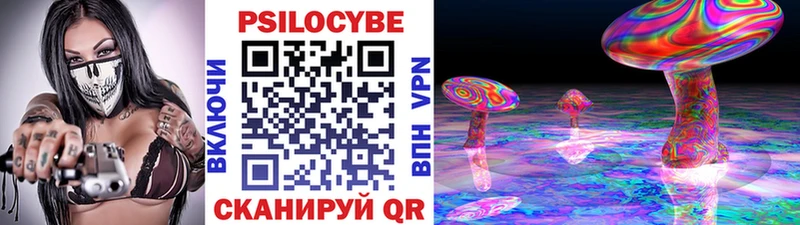 Галлюциногенные грибы Magic Shrooms как найти наркотики Лермонтов