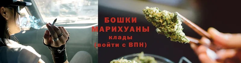 Шишки марихуана SATIVA & INDICA  купить  цена  Лермонтов 